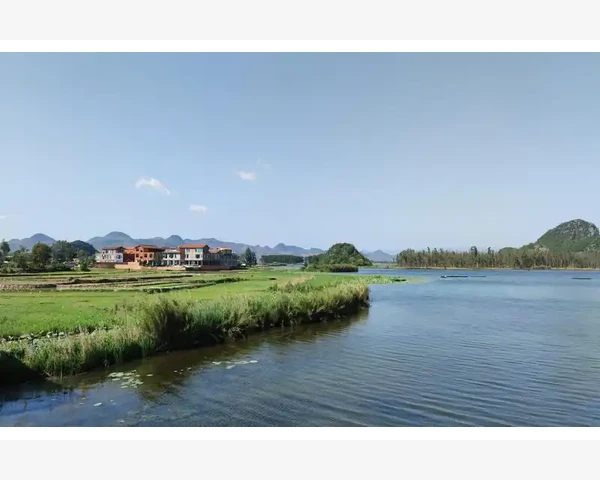 疏肝降气，化痰行气——中医对呼吸道问题的解决之道